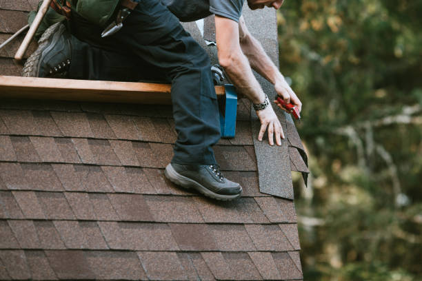 Best Commercial Roofing Services  in Roscoe, IL